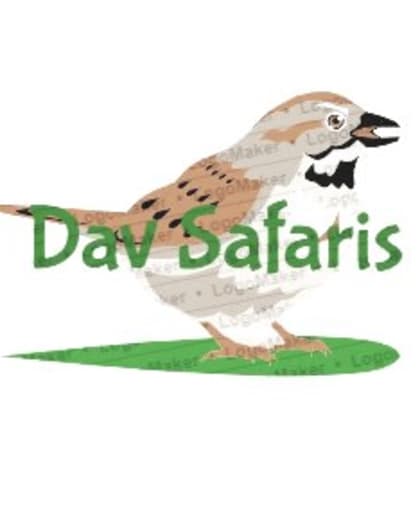 DAV SAFARIS