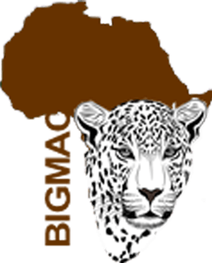 Bigmac Africa Safaris