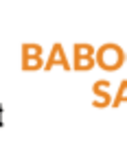Baboon budget safaris