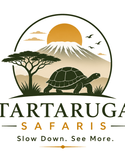 Tartaruga Safaris