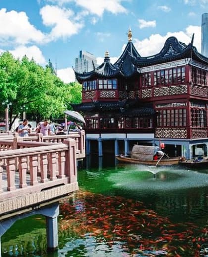 Sunny  Amazing Tours