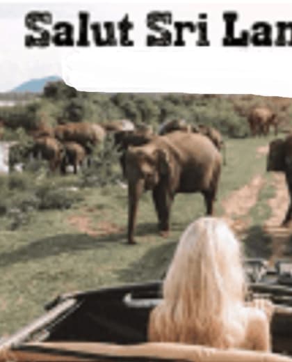 Salut Sri Lanka Tours