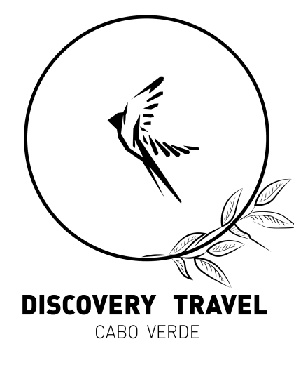 Discovery Travel