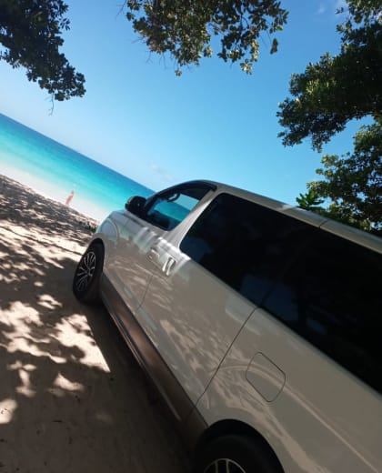 CAT Tours & Transfer