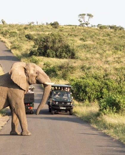 Across Africa Tours Travel