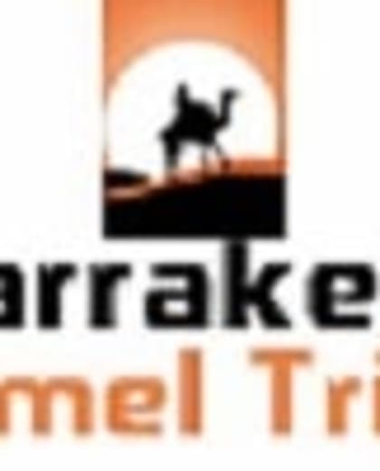 Marrakech camel trips