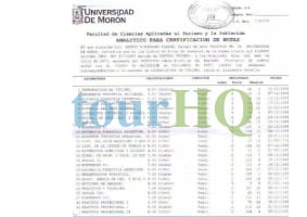 License Image