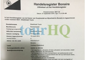 License Image