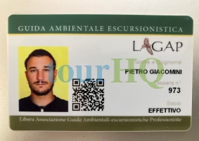 License Image
