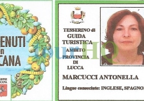 License Image
