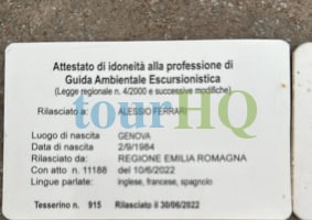 License Image