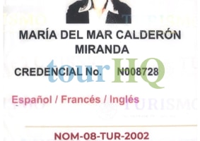 License Image