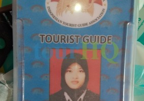 License Image