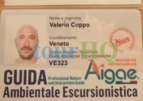 License Image