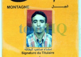 License Image