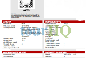 License Image