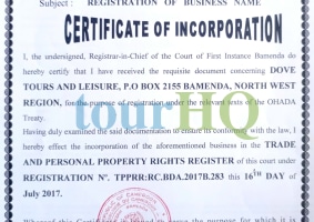 License Image