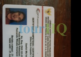 License Image