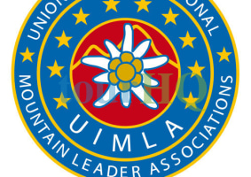 License Image