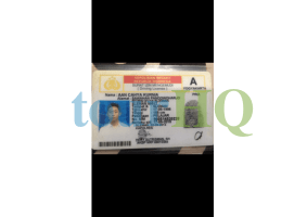 License Image