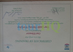 License Image