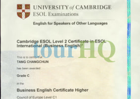 License Image