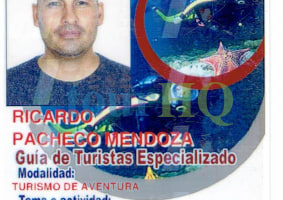 License Image