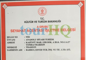 License Image