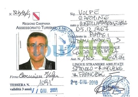 License Image