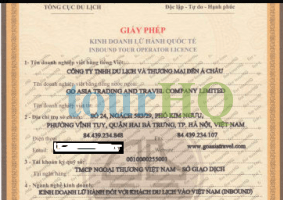 License Image