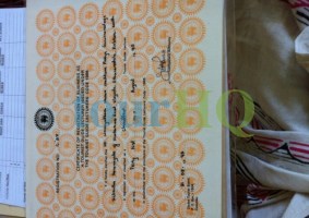 License Image