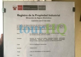 License Image