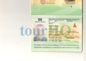 License Image