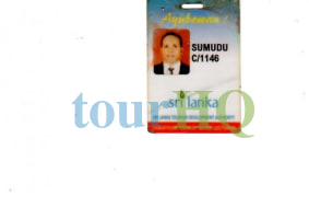 License Image