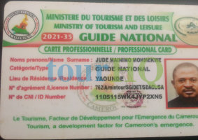 License Image
