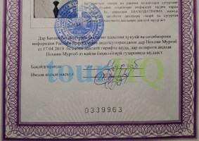 License Image