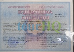 License Image