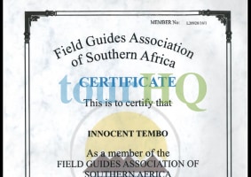License Image