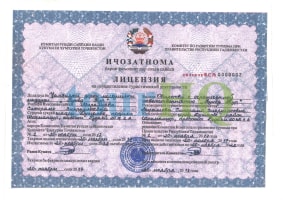 License Image