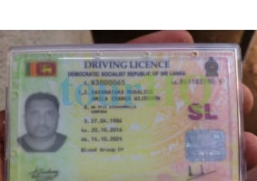 License Image