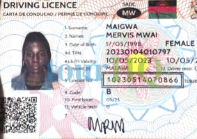 License Image