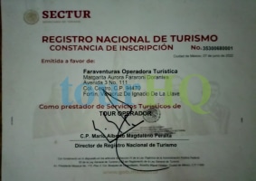 License Image