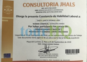 License Image
