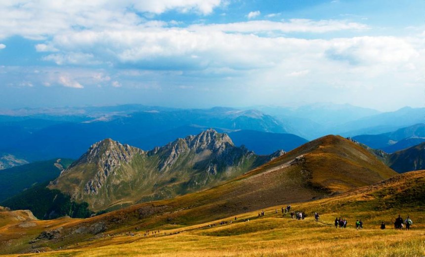 Lacy Peaks and grass