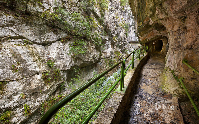 Picos de Europa National Park