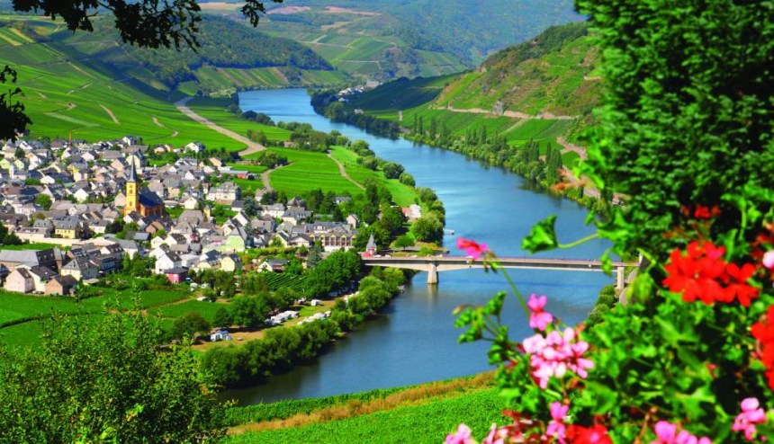 Moselle Valley Vineyards
