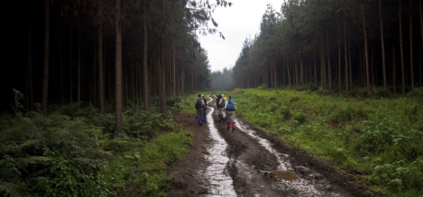 Muddy Road, Lemosho, Kilimanjaro