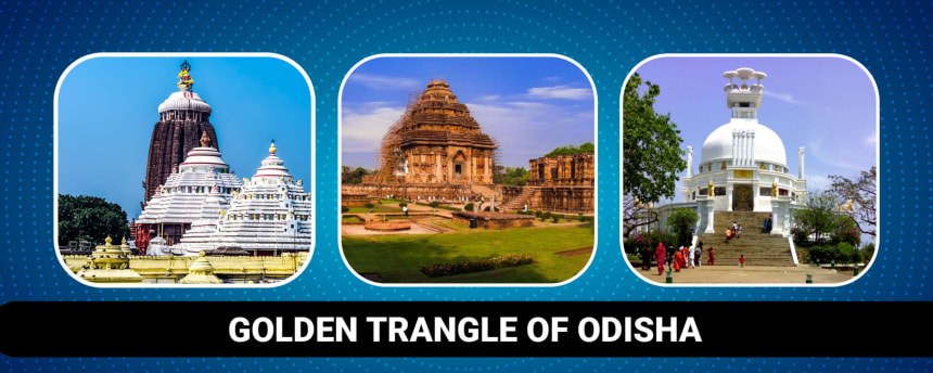 Tour comfortably in sanitized rental taxi service from Mishra Tours and Travels