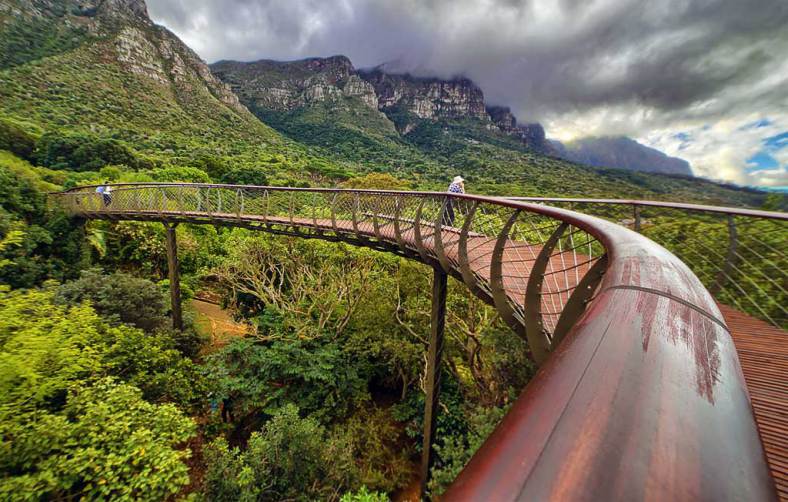 The Boomslang Canopy Walk