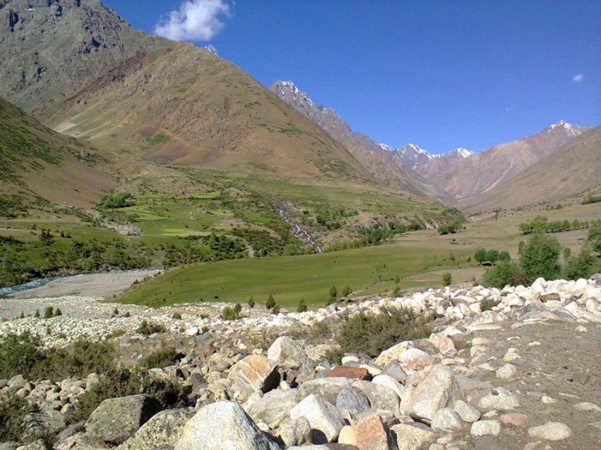 Isour springs nazbar 